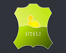 siteli is very flexible in its structure and appearance. It is robust and runs on any browser (including outdated versions).

4 different styles in the free skin already included.