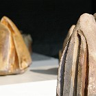 exposition-25