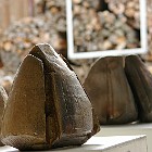 exposition-6