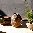 IMGP3280
