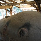 vorbereitung-1