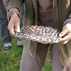IMGP2682