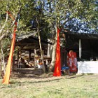 P1010073