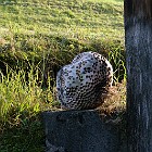 Atelierrundgang-196