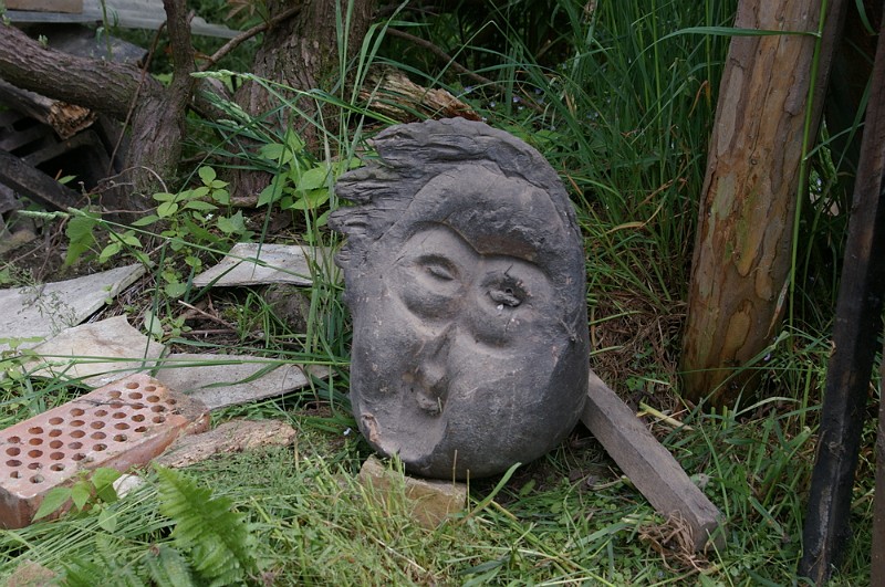 IMGP4939