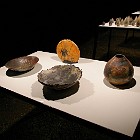 IMGP6882