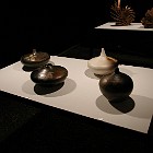 IMGP6884