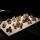 IMGP6939