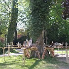 IMGP4904