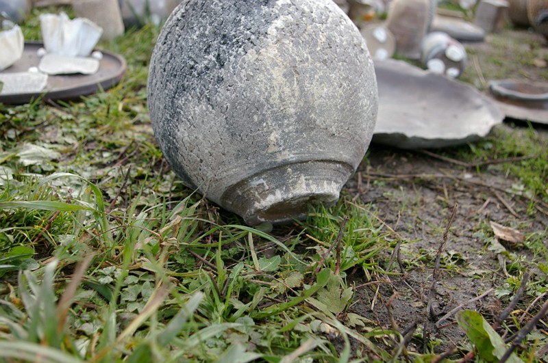 IMGP7279