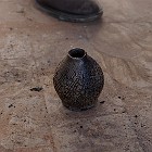 IMGP7134