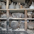 IMGP7186