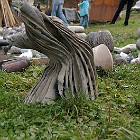 IMGP7274