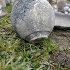 IMGP7279