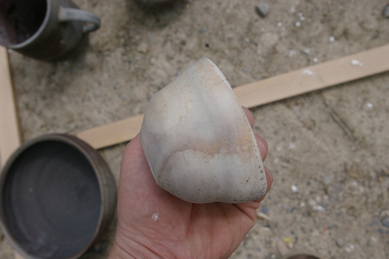 IMGP0222