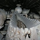 IMGP0004