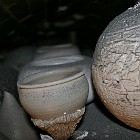 IMGP0105