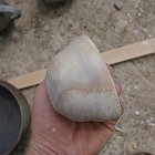 IMGP0222
