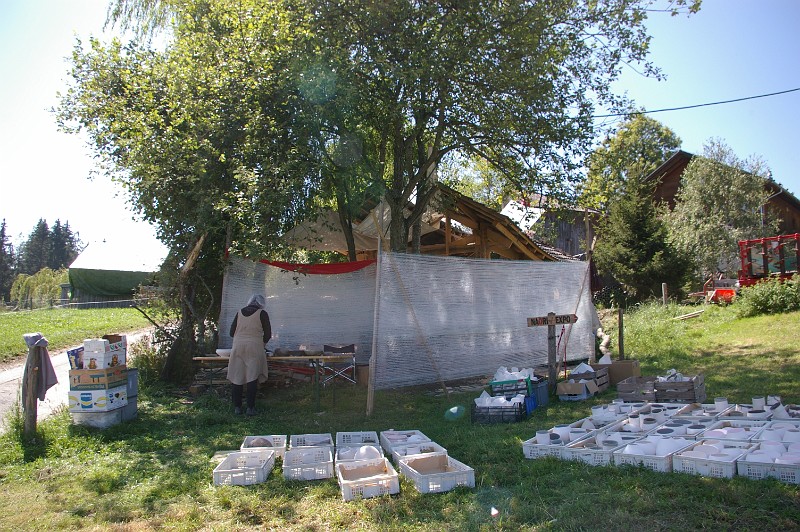 vorne12