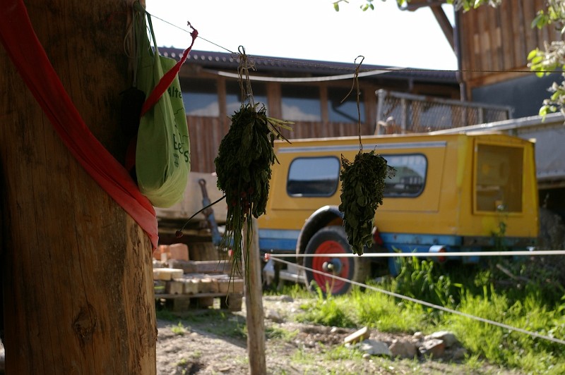 IMGP9256