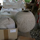 IMGP9164