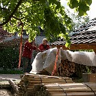IMGP9175