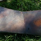 IMGP4101