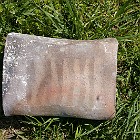 IMGP4150