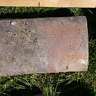 IMGP4152