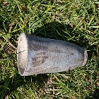 IMGP4172