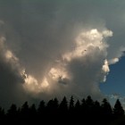 IMG_0298