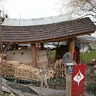 IMGP3786