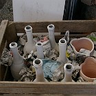 IMGP3692