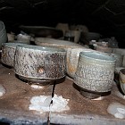 IMGP6247