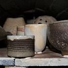 IMGP6291