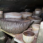 IMGP6292