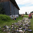 IMGP6358