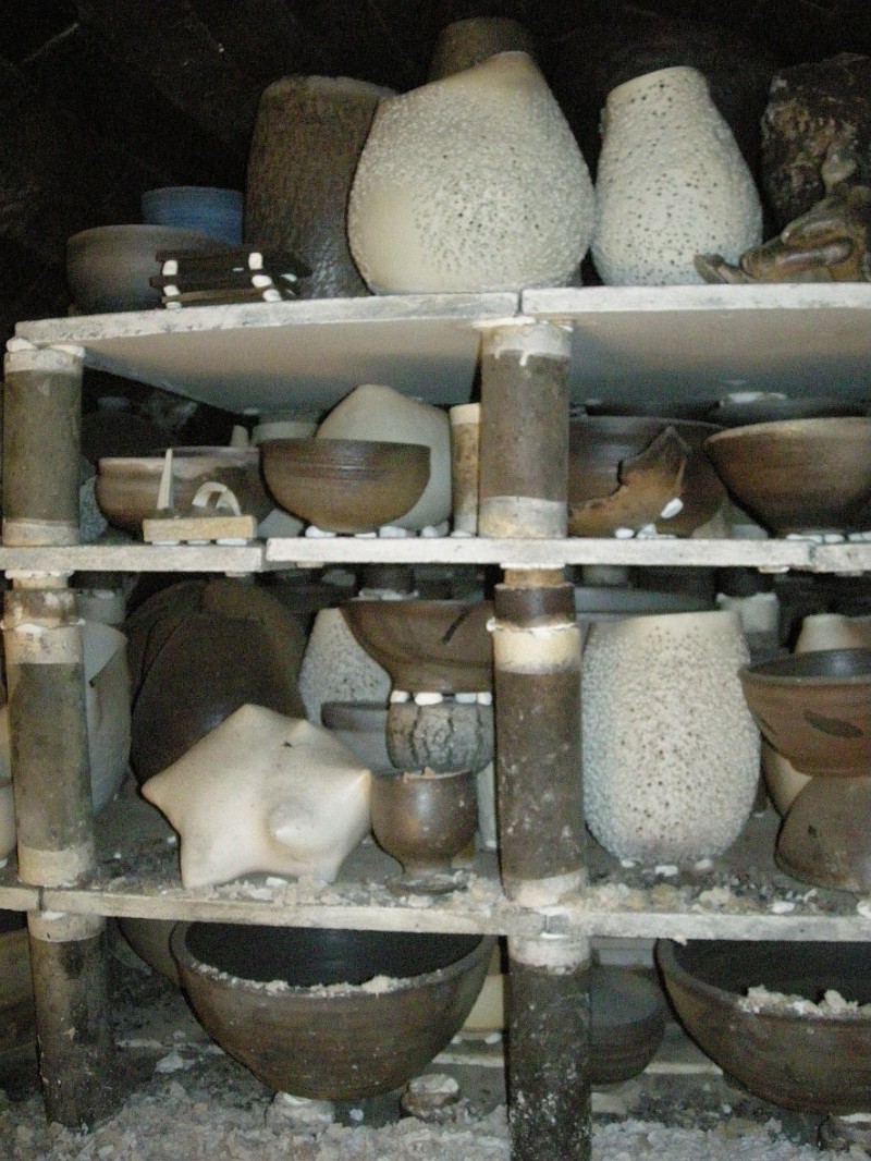 DSCN0903