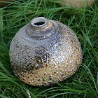 IMGP8352
