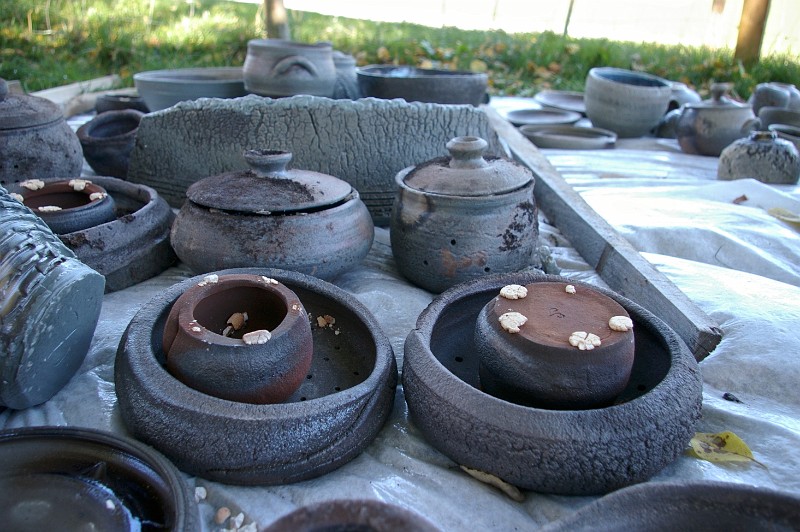IMGP9881