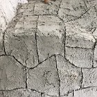 IMG_0797