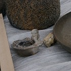 IMGP0884