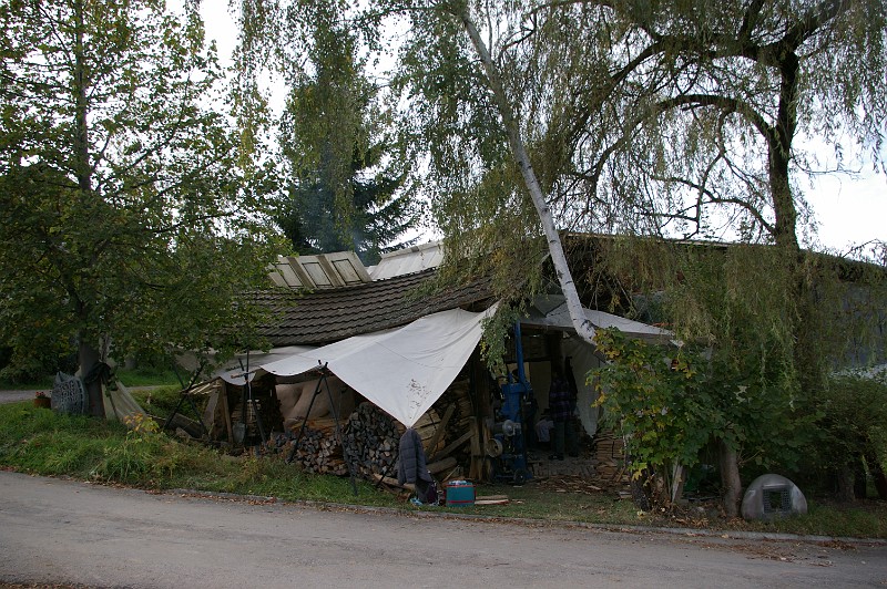 IMGP0411