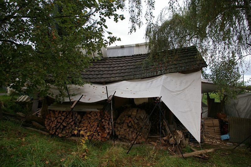IMGP0447