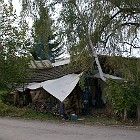 IMGP0411