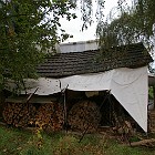IMGP0447