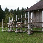 IMGP0448