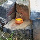 DSC06574