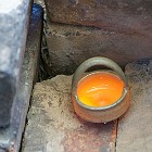 DSC06575