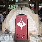 IMG_2449